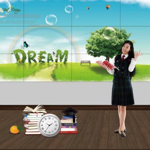 PANORAMA Education Video Wall